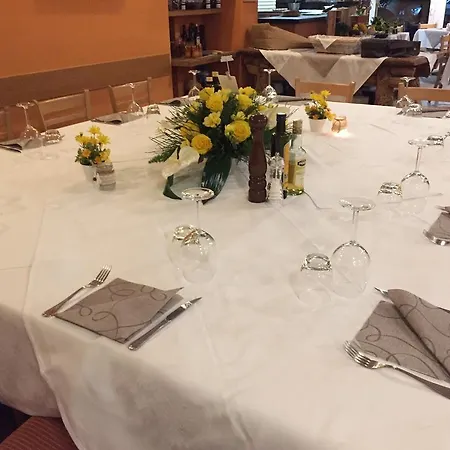 Concordia Hotel 3*