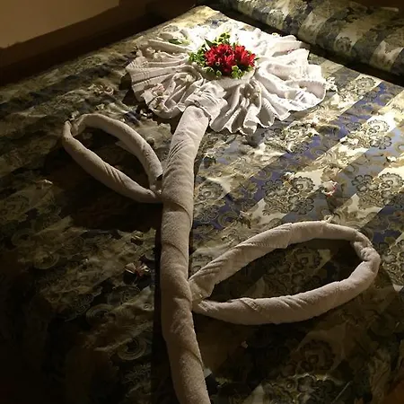 Concordia Hotel 3*